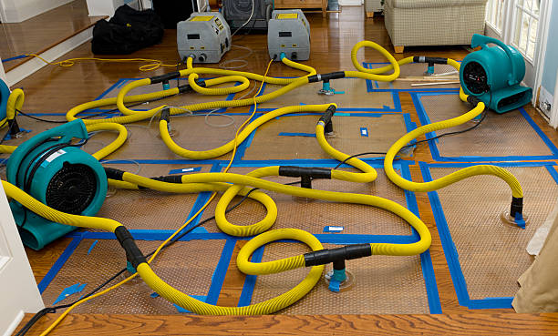 Professional Structural Drying And Dehumidification technician working in Centerville, IA